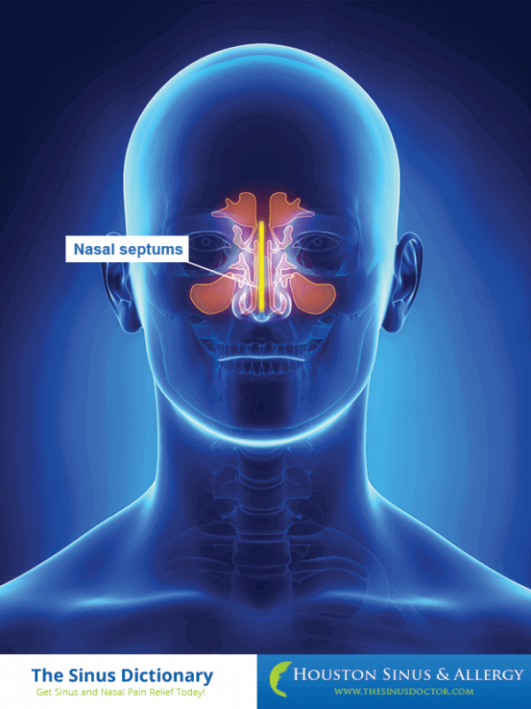 Nasal & Sinus Glossary of Terms | Houston Sinus & Allergy