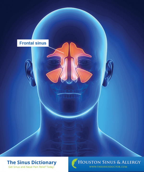 Nasal & Sinus Glossary of Terms | Houston Sinus & Allergy